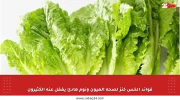 فوائد الخس كنز لصحة العيون ونوم هادئ يغفل عنه الكثيرون